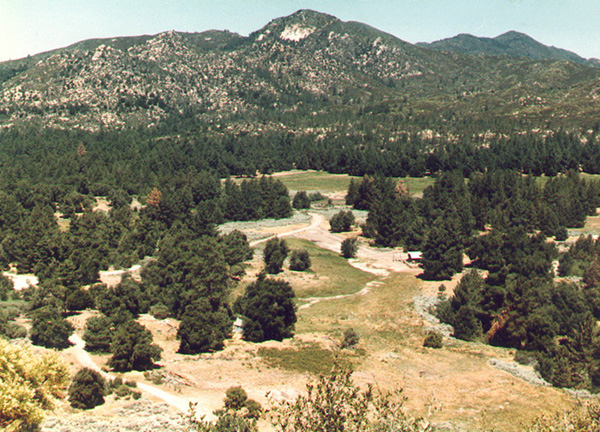 Summer Camp, Schoepe Scout Reservation At Lost Valley